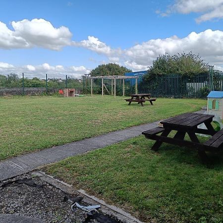 Y Doc At World Horizons Community Hub Hostel Llanelli Exterior foto